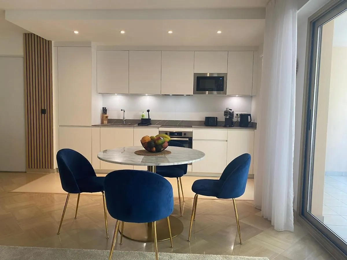 Elegant Apartment Close To Croisette And Palais De Festival With Garage Cannes France